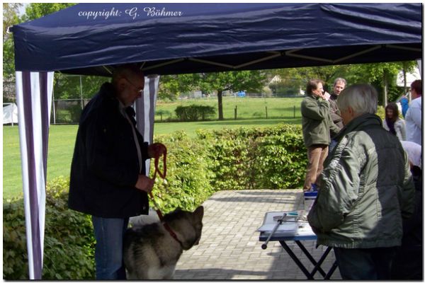 Zuchtzulassung 2010 019.JPG